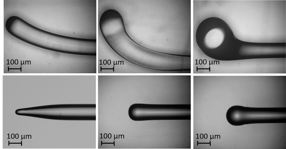 Zdjęcia mikroskopowe ze specjalistycznymi zakończeniami światłowodowymi